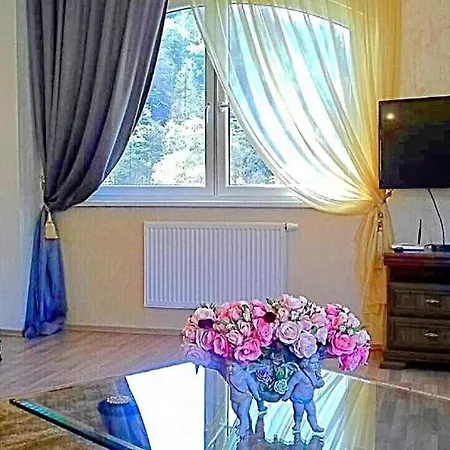 Apartment Romantic Karlovy Vary
